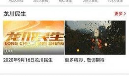 龙川新闻网爆料电话,揭秘热线电话背后的故事